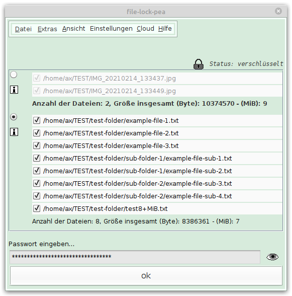 Dialog zur Passwort-Eingabe mit zu öffnenden Dateien